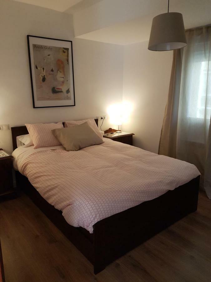 Apartmán Apartamento Del Pintor | Santiago Granada Exteriér fotografie